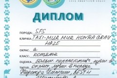 24732672456